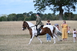WJ7_7293