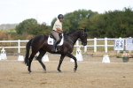 SBM_008592