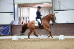 SBM_000509