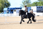 SBM_08795