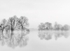 Reflection in a Turlough