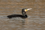 20100404-WE 115