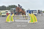 BPP_6497