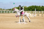SBM_007411