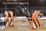 BPP_3951