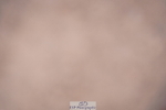 240802A-145038-05331