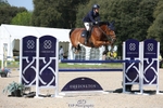 Saturday 13th - Western Counties Arena portfolio