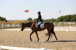 SBM_006862