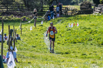 The Finish-2181