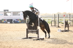 SBM_003395