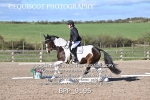 BPP_9195