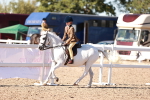 SBM_12486