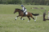 BVHT 140517  NXC -3