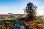 Path to Shutlingsloe (1)