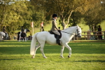 SBM_54373