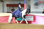 SBM_13732