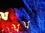 Christmas Lights - 24