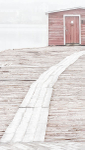 STAGE IN FOG - FOGO ISLAND