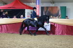 SBM_21071