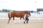 SBM_04525