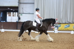 SBM_007419