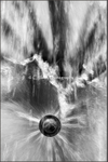 Der Jungbrunnen