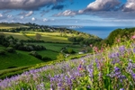 z4030 Evening Light over Luccombe and beyond