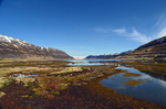 Skötufjörður, Westfjords, Iceland