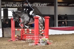 CLASS 12 Senior BritiNovice/ 90cm Open portfolio