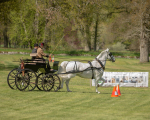 Attelage -863