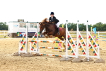 SBM_002646
