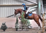 BPP_6915
