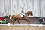 SBM_019623