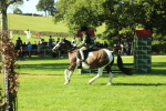SBM_36531