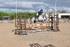 BPP_7768