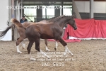 JAC_5819