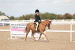 SBM_15961