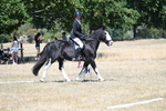 WJ7_0930