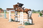 Cls 2 Foxhunter portfolio