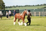 SBM_08633