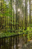 Killykeen Forest Park in County Cavan