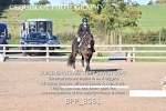 BPP_8561