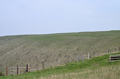 WJ7_8024