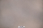 250627-201337-01480