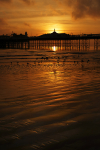 Golden Beach