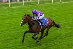 Race 3 3.00pm Sky Bet Great Voltigeur Stakes portfolio