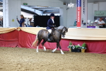 SBM_23219