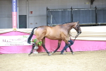 SBM_06632