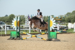 SBM_011719