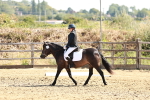 SBM_000733